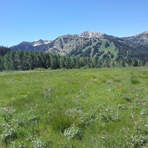 Meet your Posher, Mario